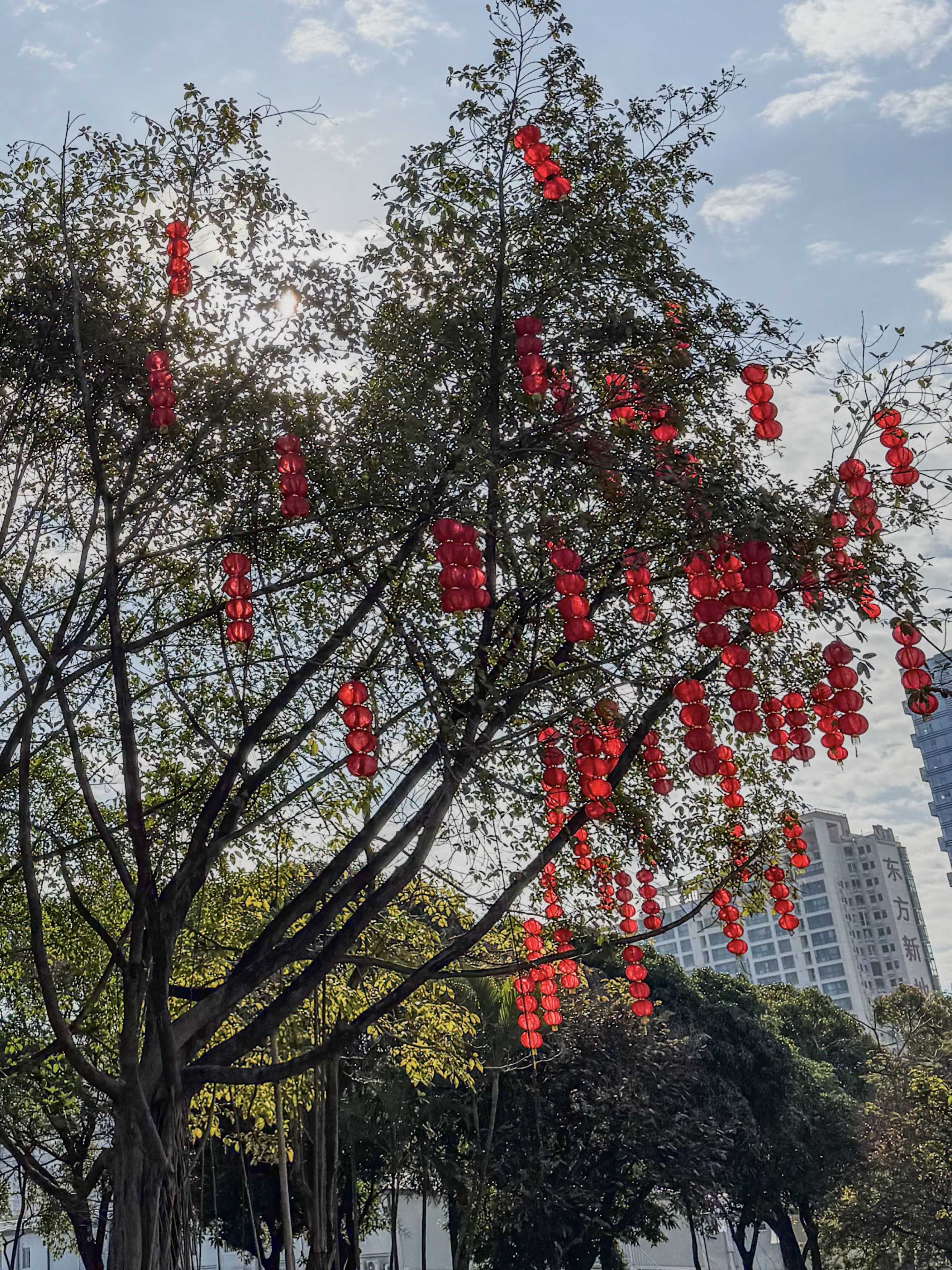 春意盎然