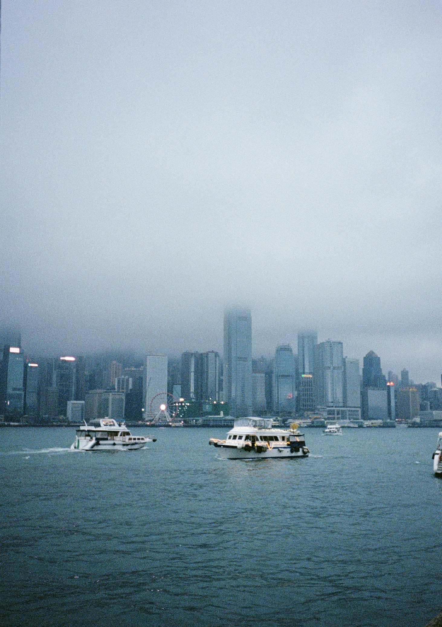 雨中维港