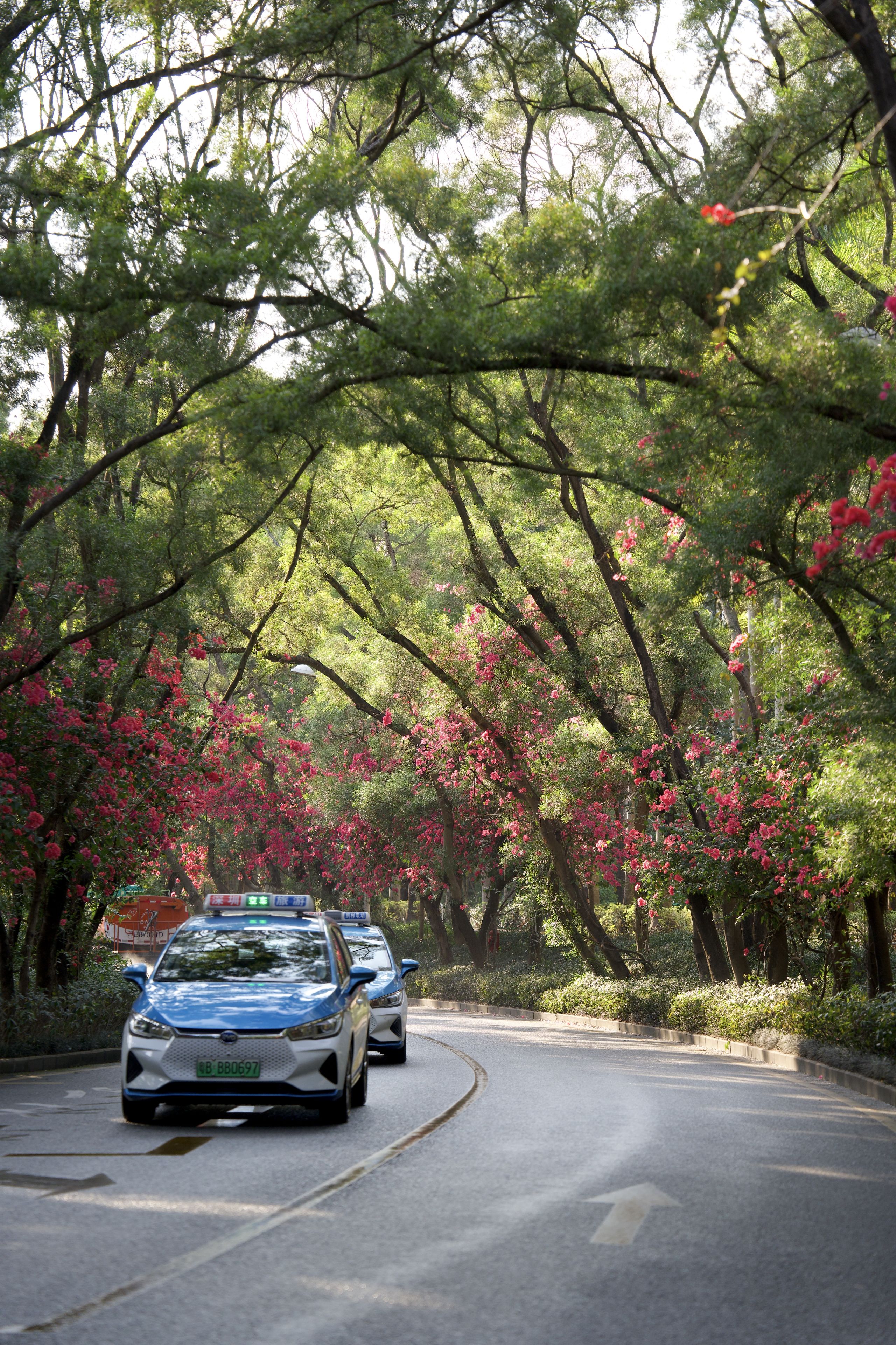 一辆出租车驶过