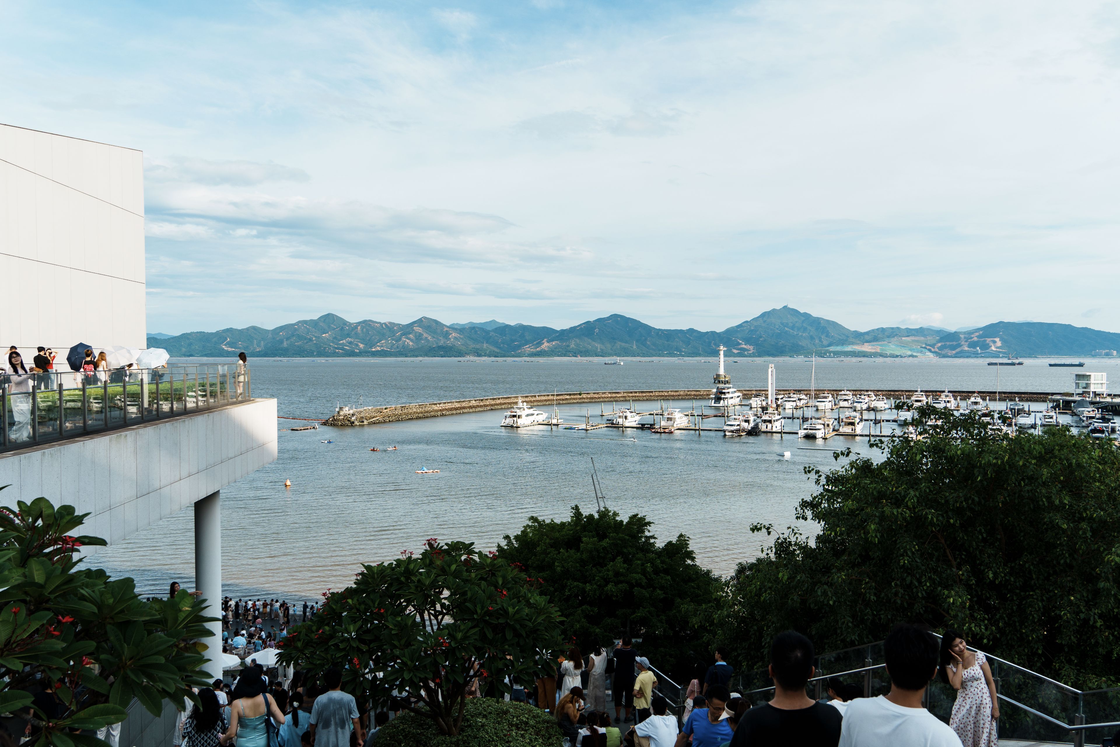看海