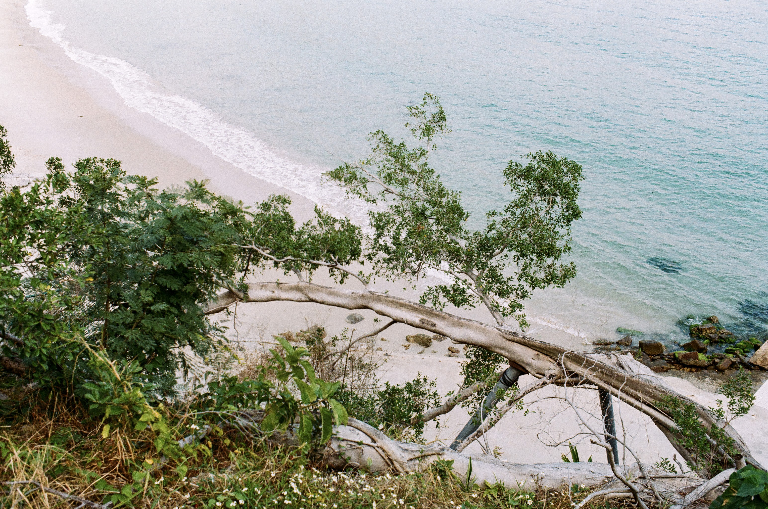 小梅沙滨海栈道