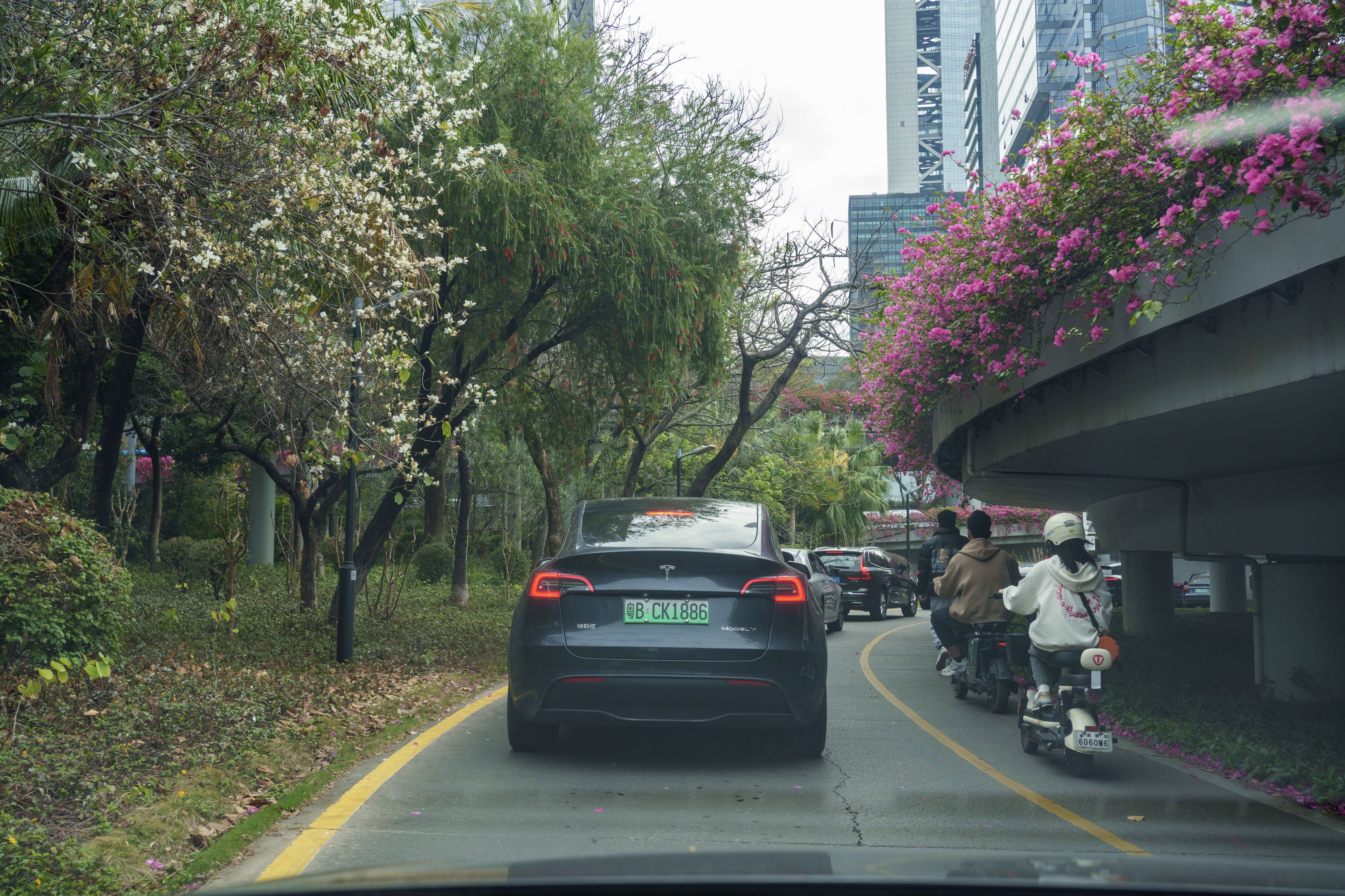 花间小路
