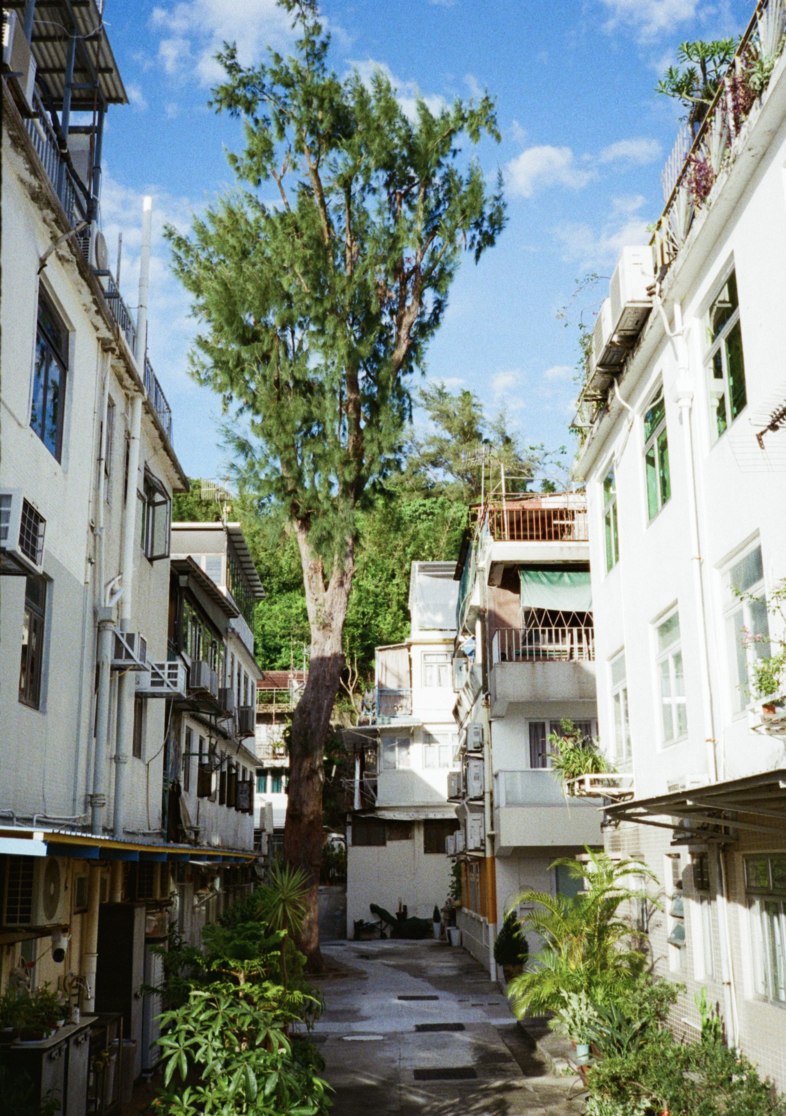 坪洲岛上的居民楼