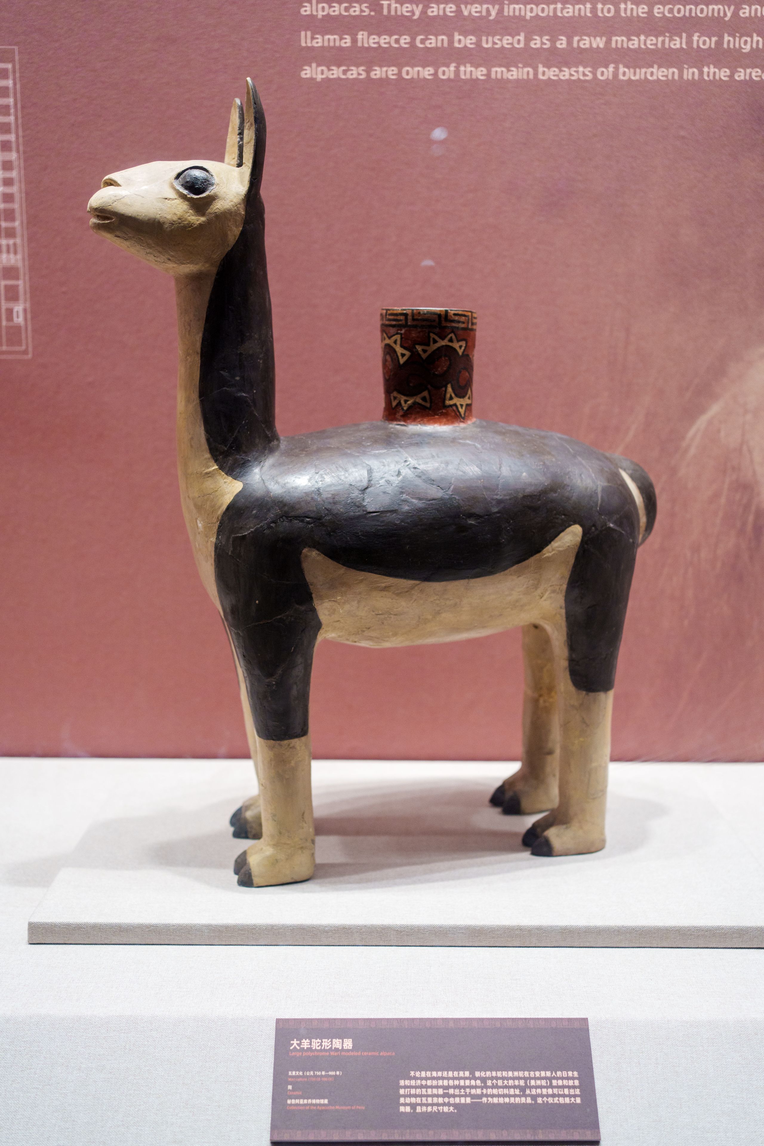 羊驼