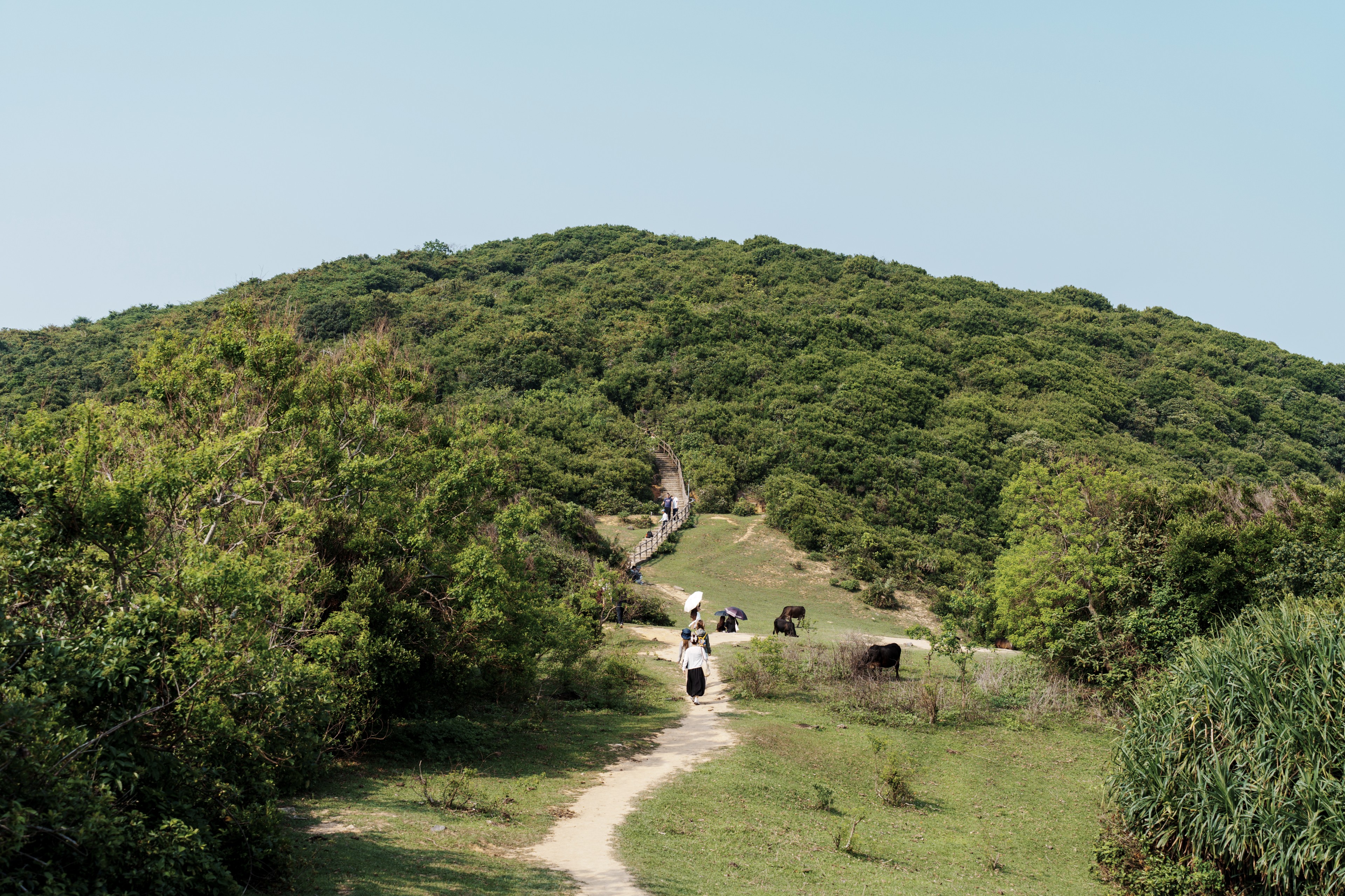 塔门岛风光