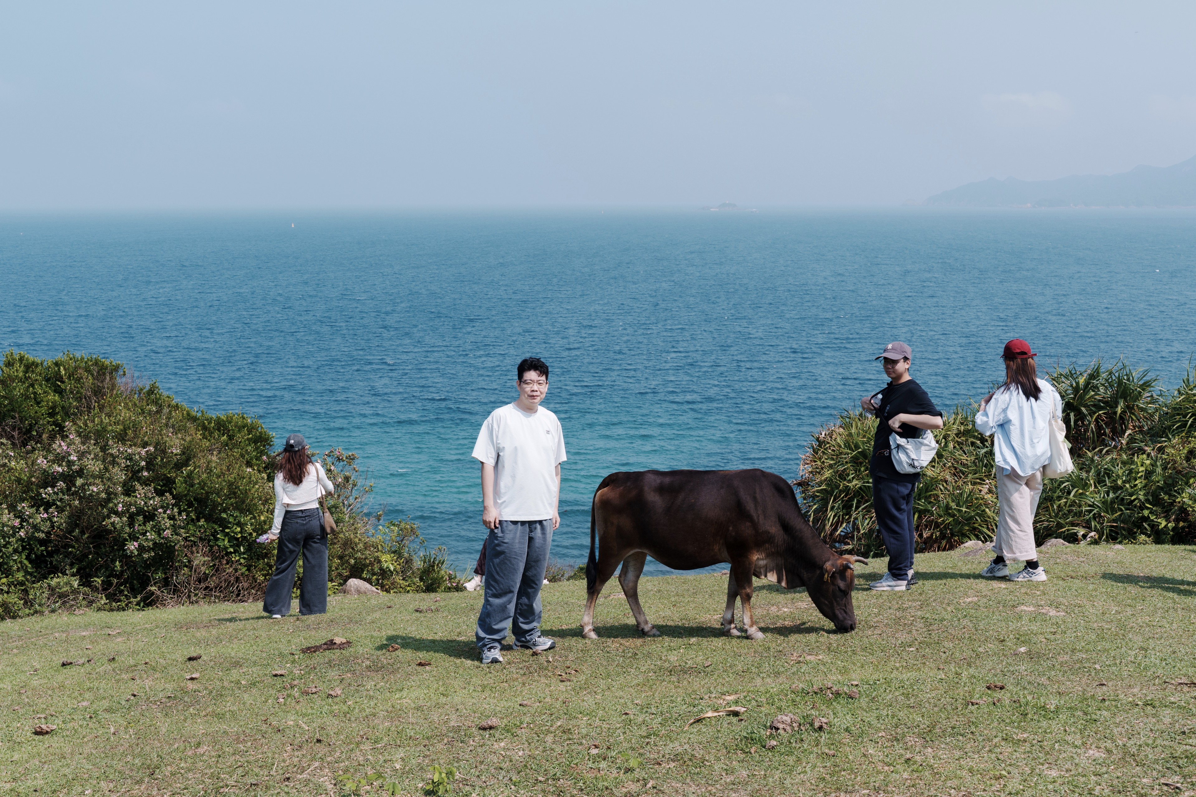 野牛